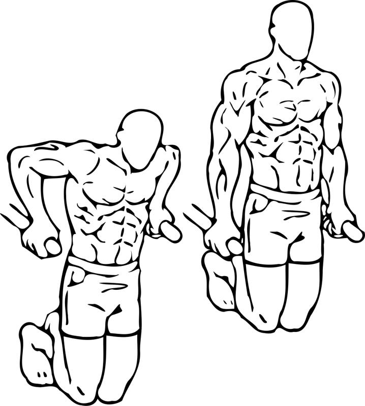 Illustration of a parallel bar dip