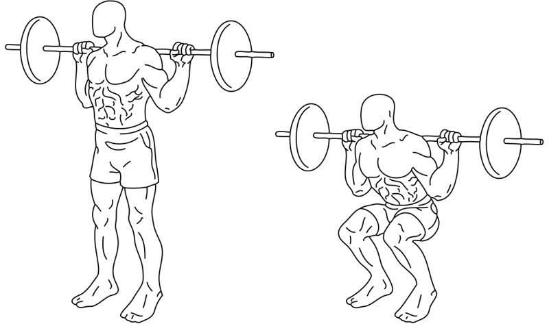 Illustration of the squat movement